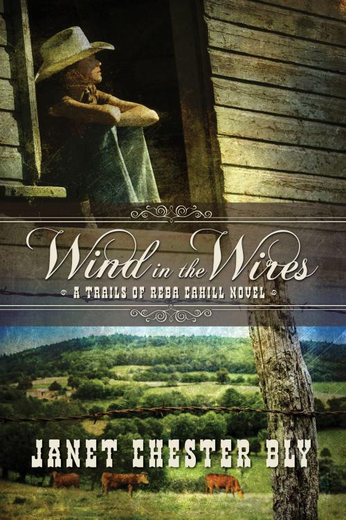Cover of the book Wind in the Wires by Janet Chester Bly, Bly Books