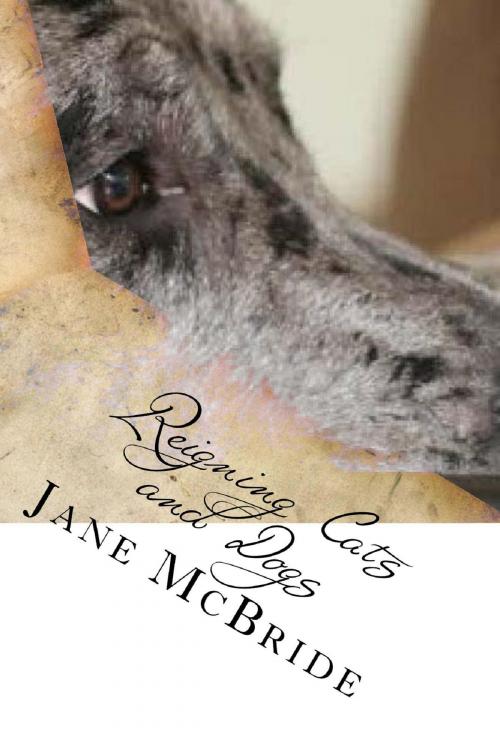 Cover of the book Reigning Cats and Dogs by Jane McBride, Jane McBride