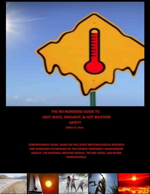 Cover of the book The No Nonsense Guide to Heat Wave, Drought, & Hot Weather Safety by Jeffery Sims, Lulu.com