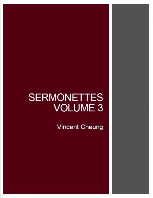 Cover of the book Sermonettes, Volume 3 by Vincent Cheung, Lulu.com