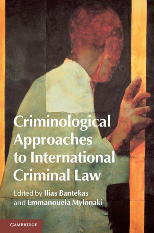 Cover of the book Criminological Approaches to International Criminal Law by , Cambridge University Press