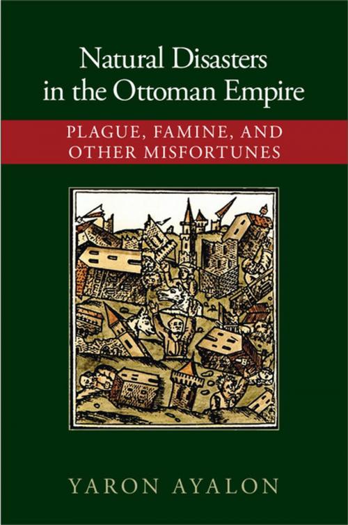 Cover of the book Natural Disasters in the Ottoman Empire by Yaron Ayalon, Cambridge University Press