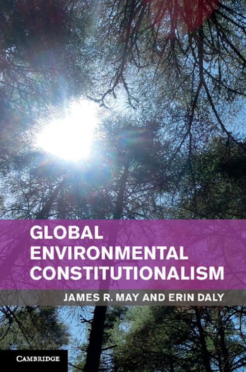 Cover of the book Global Environmental Constitutionalism by James R. May, Erin Daly, Cambridge University Press