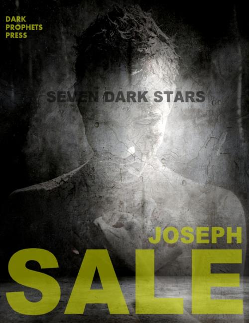 Cover of the book Seven Dark Stars by Joseph Sale, Lulu.com