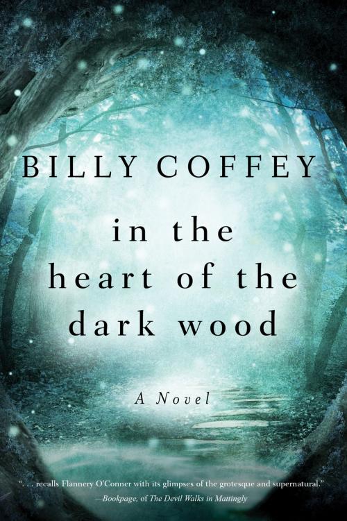 Cover of the book In the Heart of the Dark Wood by Billy Coffey, Thomas Nelson