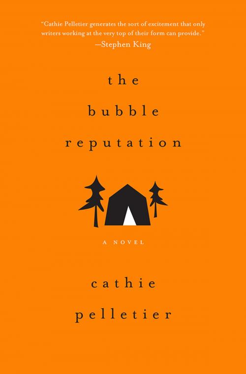 Cover of the book The Bubble Reputation by Cathie Pelletier, Sourcebooks