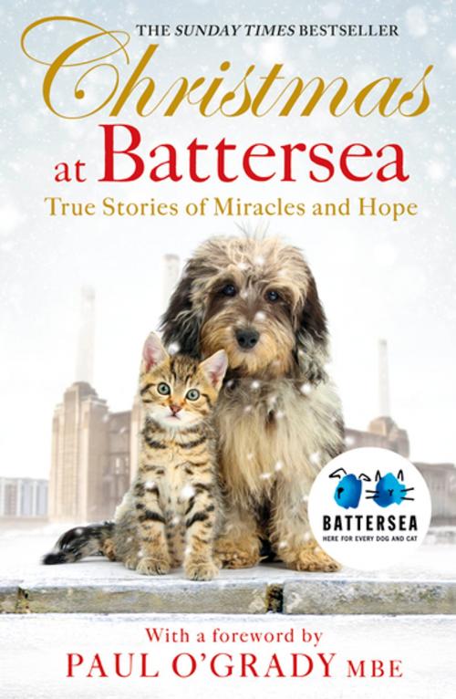 Cover of the book Christmas at Battersea: True Stories of Miracles and Hope by Battersea Dogs & Cats Home, Penguin Books Ltd