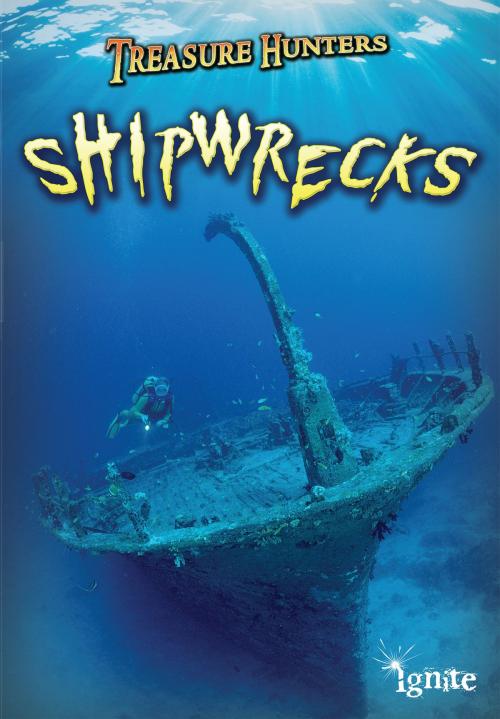 Cover of the book Shipwrecks by Nick Hunter, Capstone