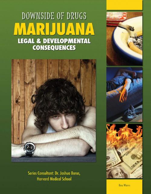 Cover of the book Marijuana by Rosa Waters, Mason Crest