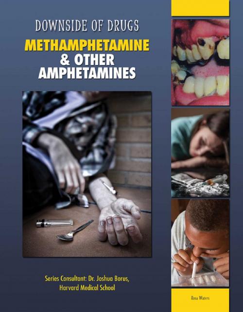 Cover of the book Methamphetamine & Other Amphetamines by Rosa Waters, Mason Crest