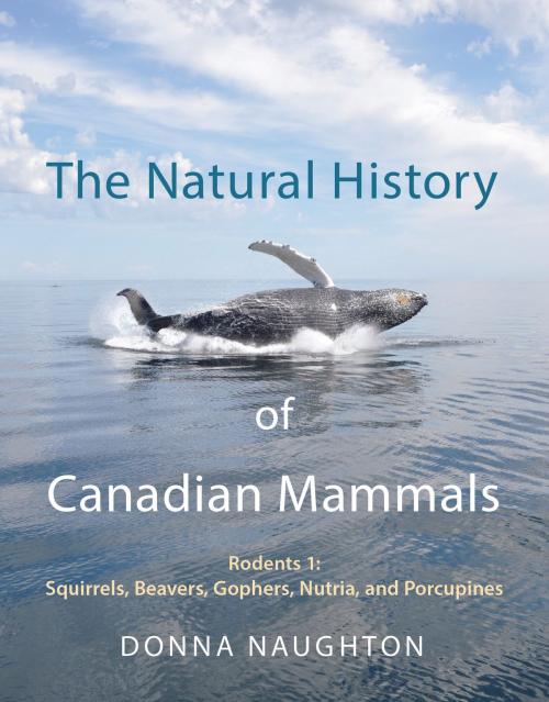 Cover of the book The Natural History of Canadian Mammals by Donna Naughton, University of Toronto Press, Scholarly Publishing Division