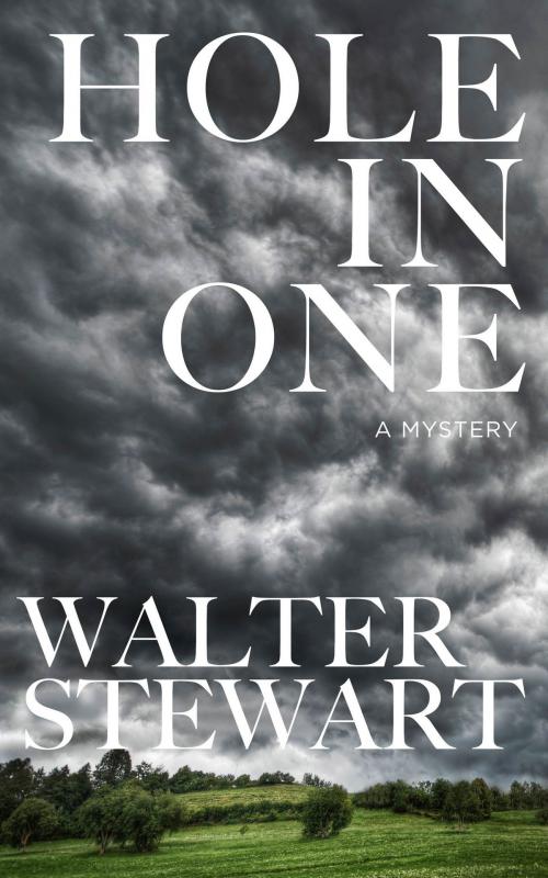 Cover of the book Hole In One by Walter Stewart, HarperCollins Publishers