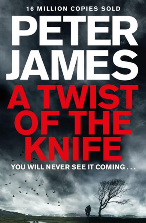 Cover of the book A Twist of the Knife by Peter James, Pan Macmillan