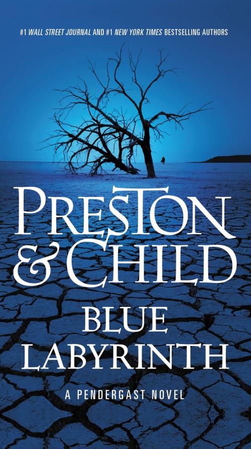 Cover of the book Blue Labyrinth by Douglas Preston, Lincoln Child, Grand Central Publishing