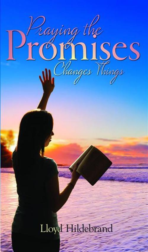 Cover of the book Praying the Promises Changes Things by Hildebrand, Lloyd, ReadHowYouWant