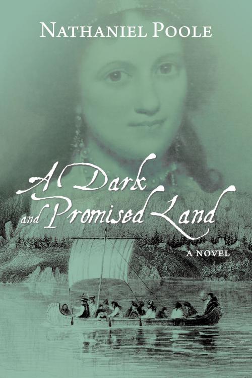 Cover of the book A Dark and Promised Land by Nathaniel Poole, Dundurn