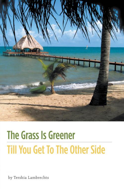 Cover of the book The Grass Is Greener Till You Get To The Other Side by Tershia Lambrechts, FriesenPress