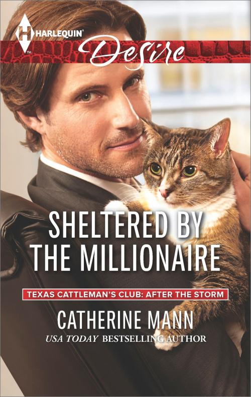 Cover of the book Sheltered by the Millionaire by Catherine Mann, Harlequin