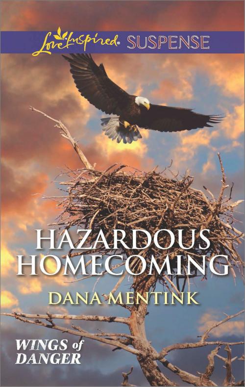 Cover of the book Hazardous Homecoming by Dana Mentink, Harlequin