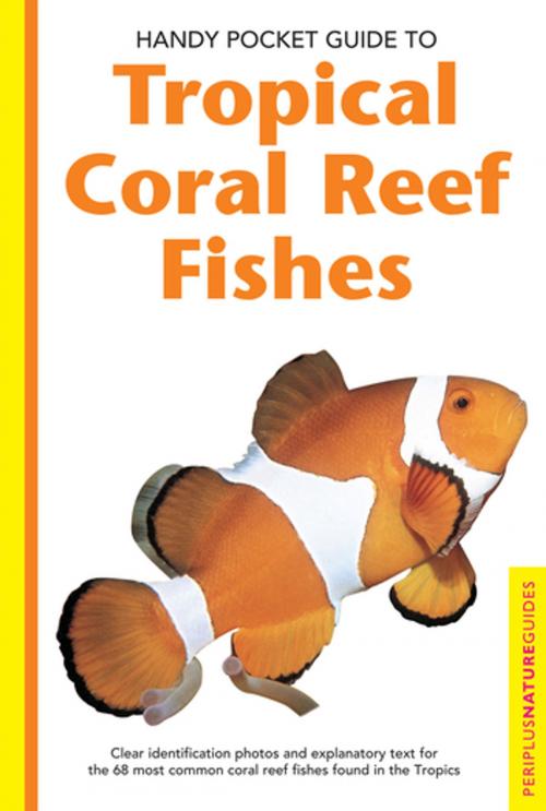Cover of the book Handy Pocket Guide to Tropical Coral Reef Fishes by Gerald Allen, Tuttle Publishing