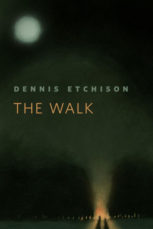 Cover of the book The Walk by Dennis Etchison, Tom Doherty Associates