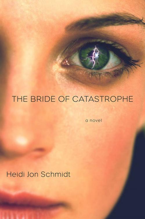 Cover of the book The Bride of Catastrophe by Heidi Jon Schmidt, Picador