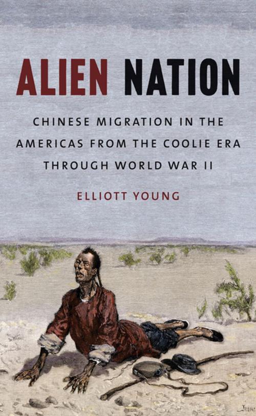 Cover of the book Alien Nation by Elliott Young, The University of North Carolina Press