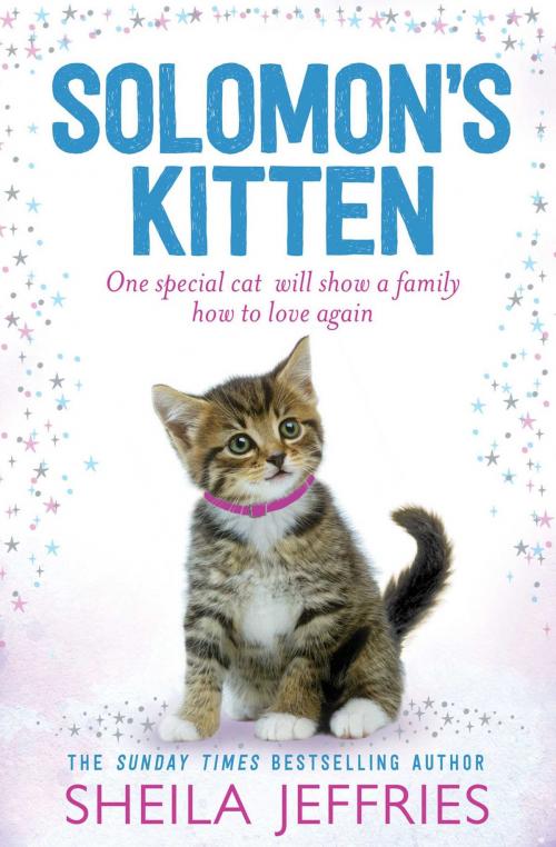 Cover of the book Solomon's Kitten by Sheila Jeffries, Simon & Schuster UK