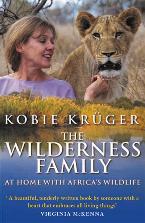 Cover of the book The Wilderness Family by Kobie Kruger, Transworld