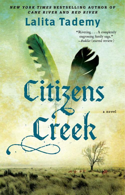 Cover of the book Citizens Creek by Lalita Tademy, Simon & Schuster