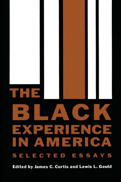 Cover of the book The Black Experience in America by , University of Texas Press