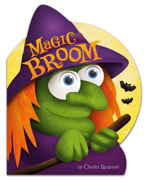 Cover of the book Magic Broom by Charles Reasoner, Capstone