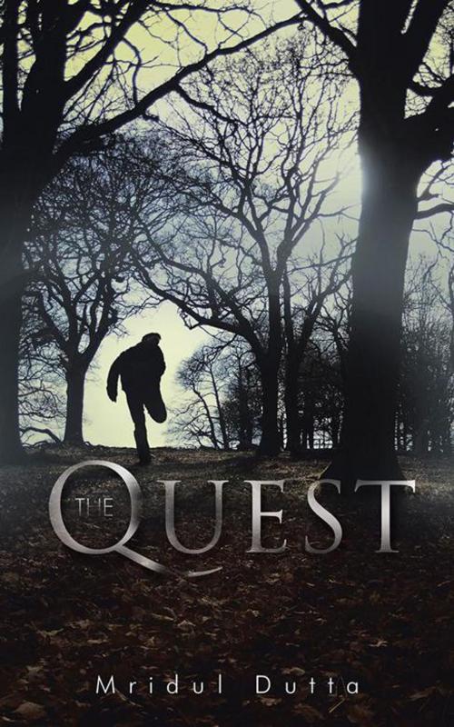 Cover of the book The Quest by Mridul Dutta, Partridge Publishing India