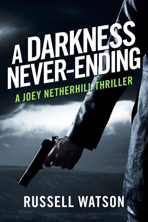 Cover of the book A Darkness Never-Ending by Russell Watson, BookBaby