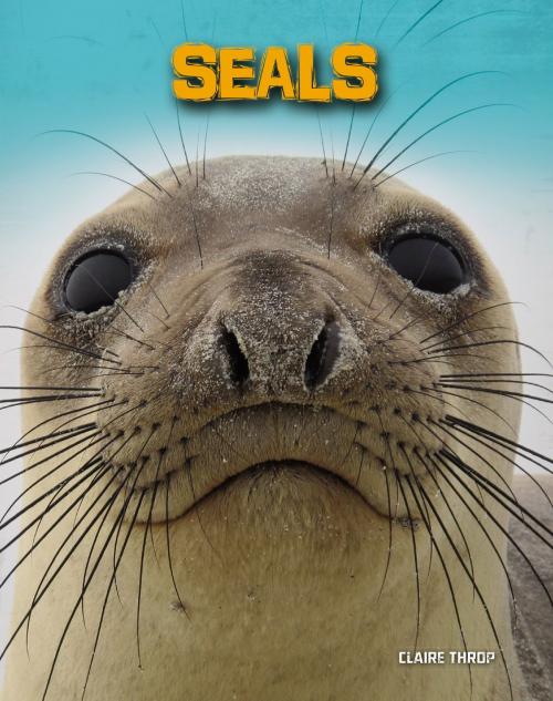 Cover of the book Seals by Claire Throp, Capstone