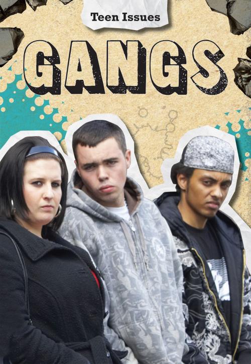 Cover of the book Gangs by Lori Elizabeth Hile, Capstone