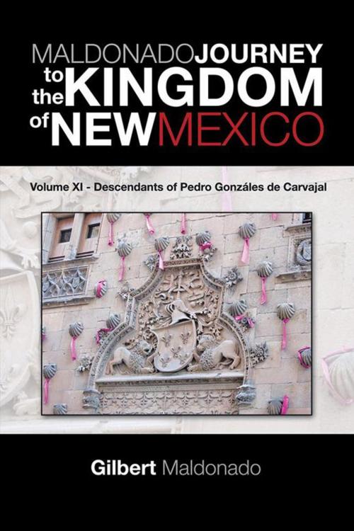 Cover of the book Maldonado Journey to the Kingdom of New Mexico by Gilbert Maldonado, Trafford Publishing