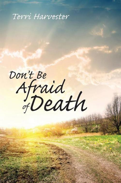 Cover of the book Don’T Be Afraid of Death by Terri Harvester, WestBow Press