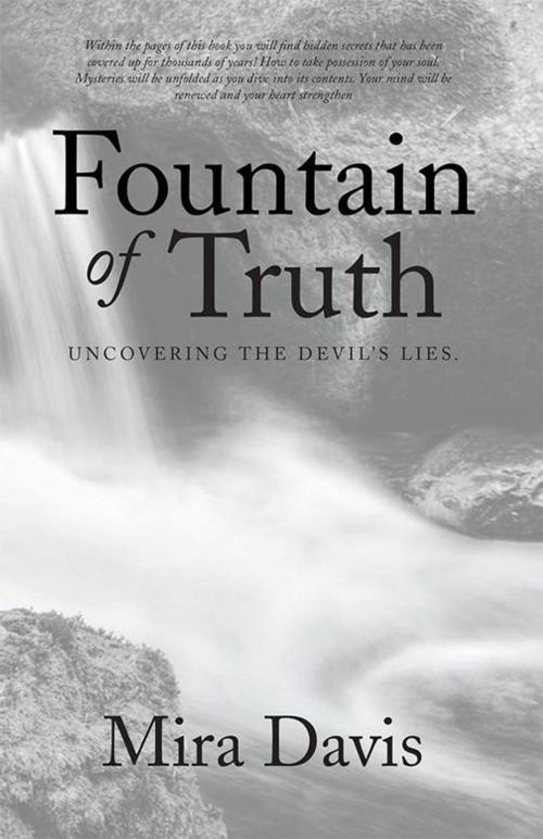 Cover of the book Fountain of Truth by Mira Davis, WestBow Press