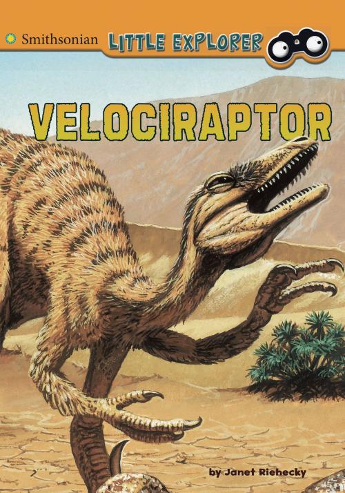 Cover of the book Velociraptor by Janet Ellen Riehecky, Capstone