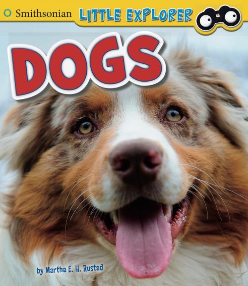 Cover of the book Dogs by Martha Elizabeth Hillman Rustad, Capstone