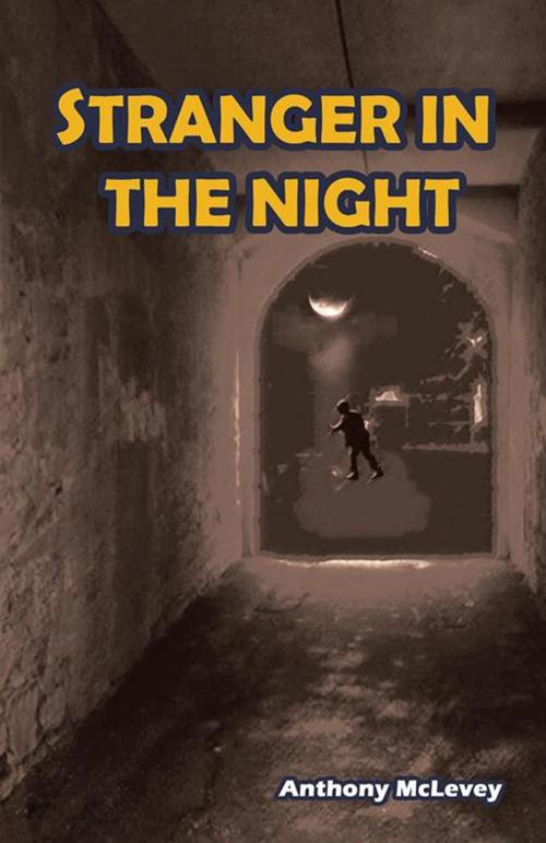 Cover of the book Stranger in the Night by Anthony McLevey, iUniverse