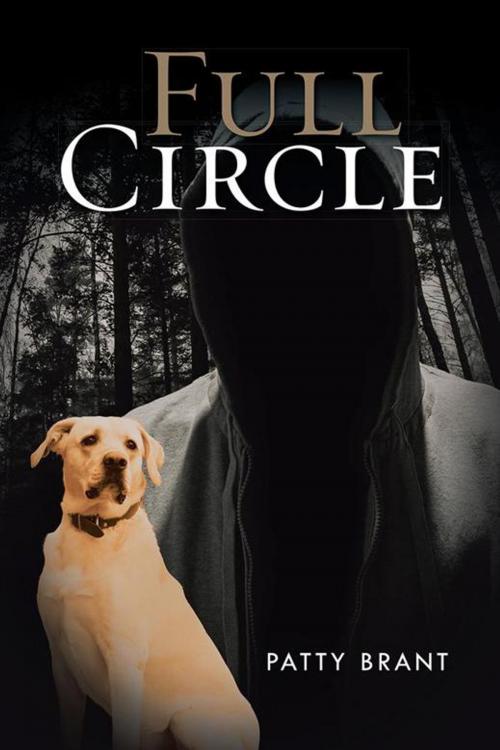 Cover of the book Full Circle by Patty Brant, iUniverse