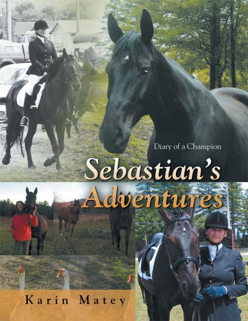 Cover of the book Sebastian’S Adventures by Karin Matey, AuthorHouse