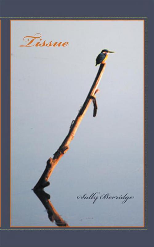 Cover of the book Tissue by Sally Berridge, Xlibris AU