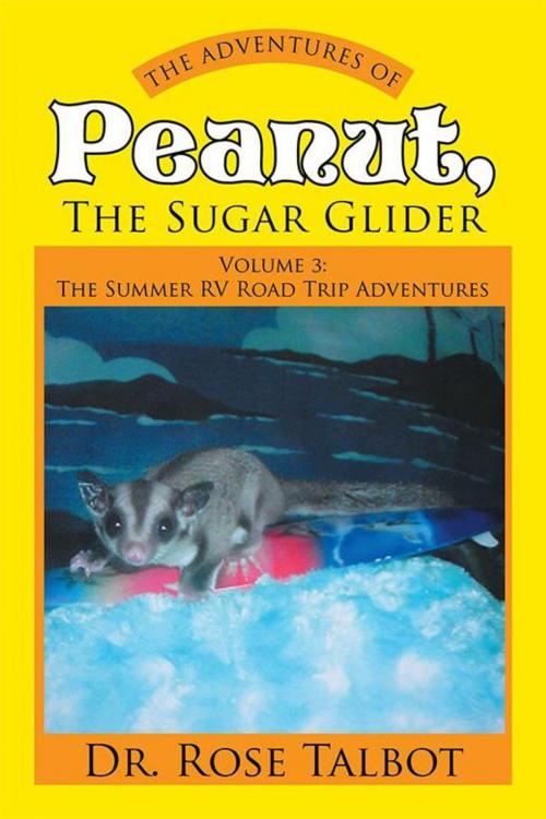 Cover of the book The Adventures of Peanut, the Sugar Glider by Dr. Rose Talbot, Xlibris US