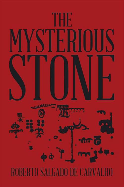 Cover of the book The Mysterious Stone by Roberto Salgado de Carvalho, Xlibris US