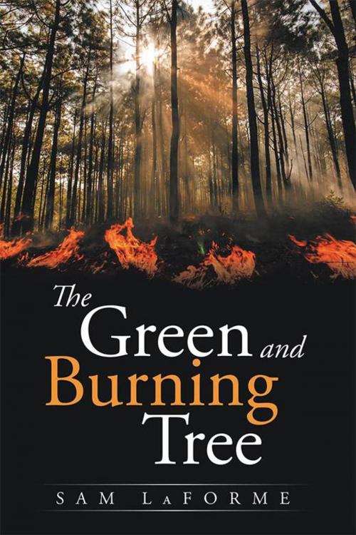 Cover of the book The Green and Burning Tree by Sam LaForme, Xlibris US