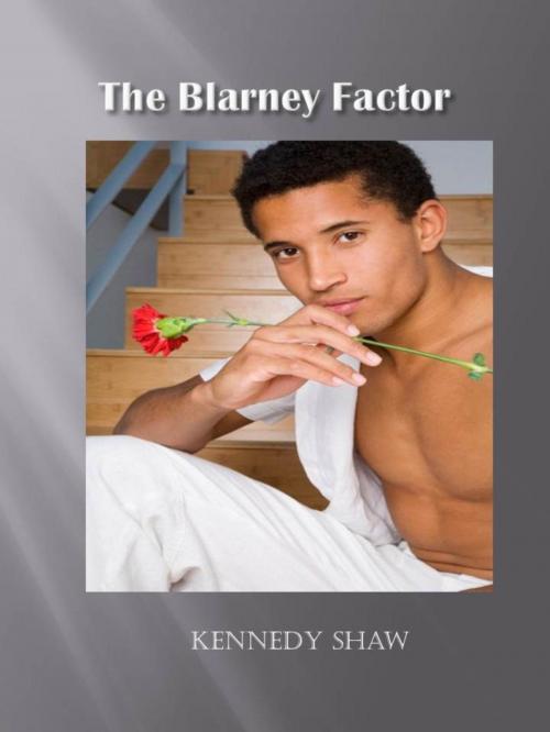 Cover of the book The Blarney Factor by Kennedy Shaw, Perry-Shaw Publications