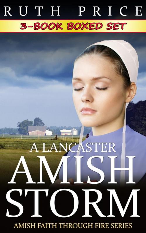 Cover of the book A Lancaster Amish Storm 3-Book Boxed Set by Ruth Price, Global Grafx Press